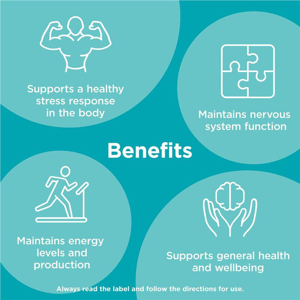 Blackmores Executive B Stress Formula 62 Tablets
